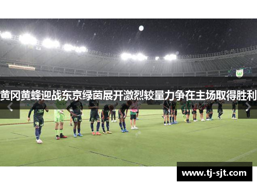 黄冈黄蜂迎战东京绿茵展开激烈较量力争在主场取得胜利
