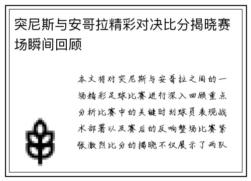 突尼斯与安哥拉精彩对决比分揭晓赛场瞬间回顾