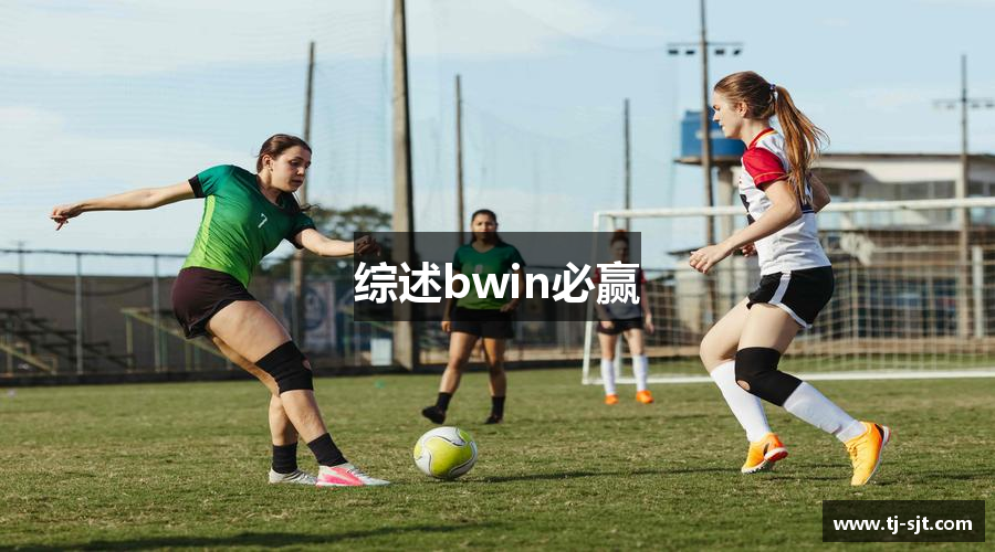 综述bwin必赢